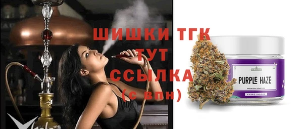 соль ск Новодвинск