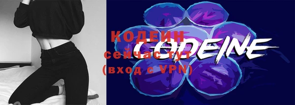 крисы Нея