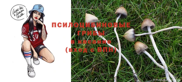крисы Нея