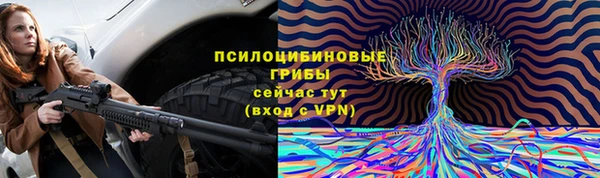 крисы Нея