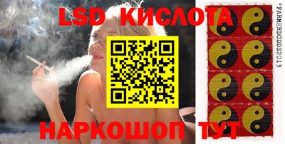 PSILOCYBIN Гусиноозёрск