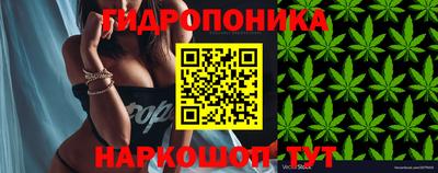PSILOCYBIN Гусиноозёрск