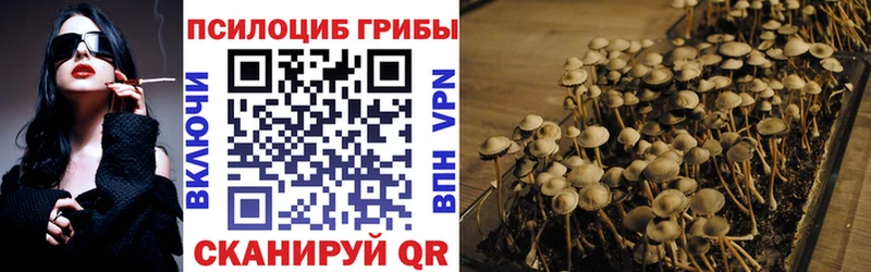 Галлюциногенные грибы Psilocybine cubensis купить мега ССЫЛКА Ивантеевка