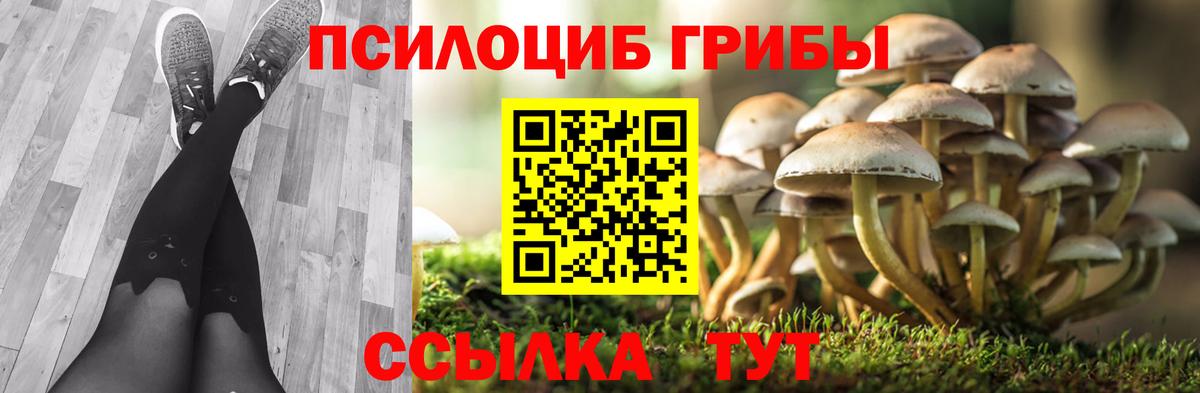 Псилоцибиновые грибы мухоморы  Галлюциногенные грибы Magic Shrooms  Вход с VPN  Ивантеевка 